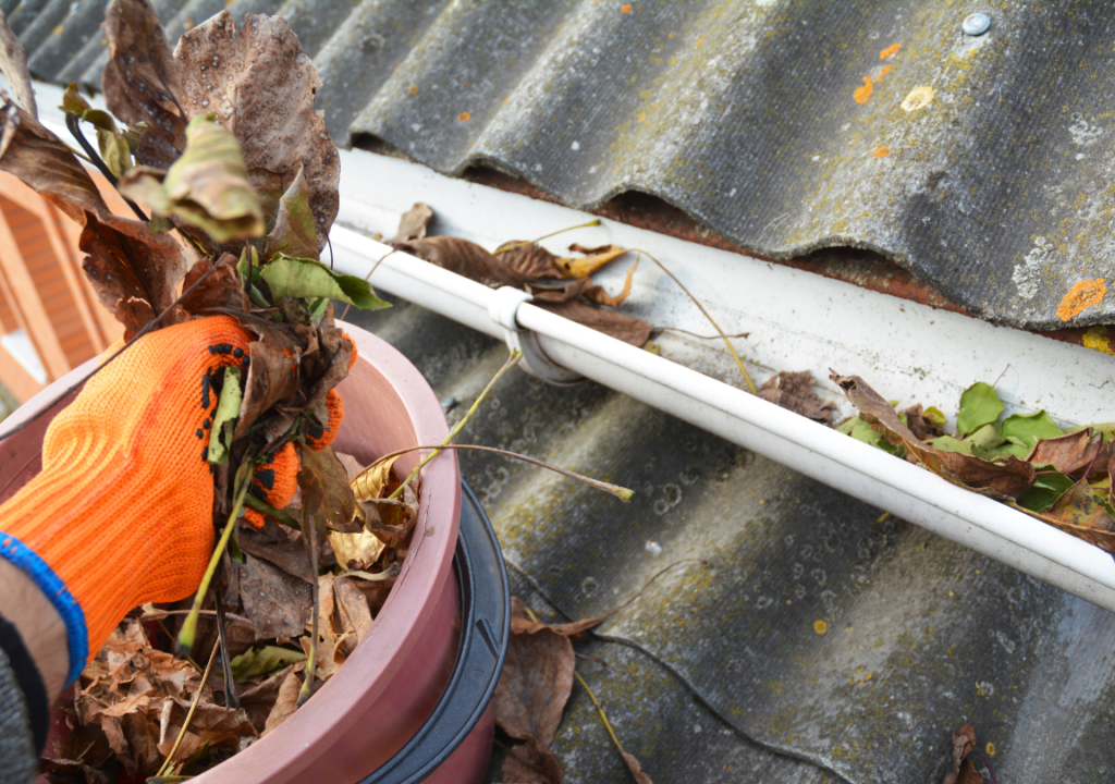 Gutter Cleaning